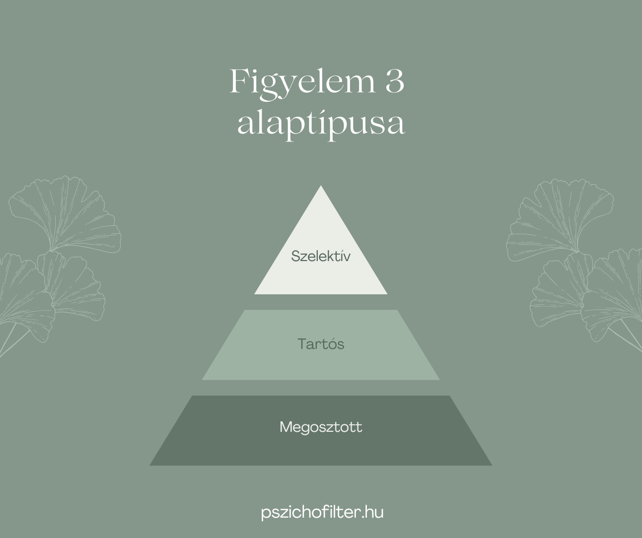 ADHD a figyelem 3 alaptipusa illusztralva