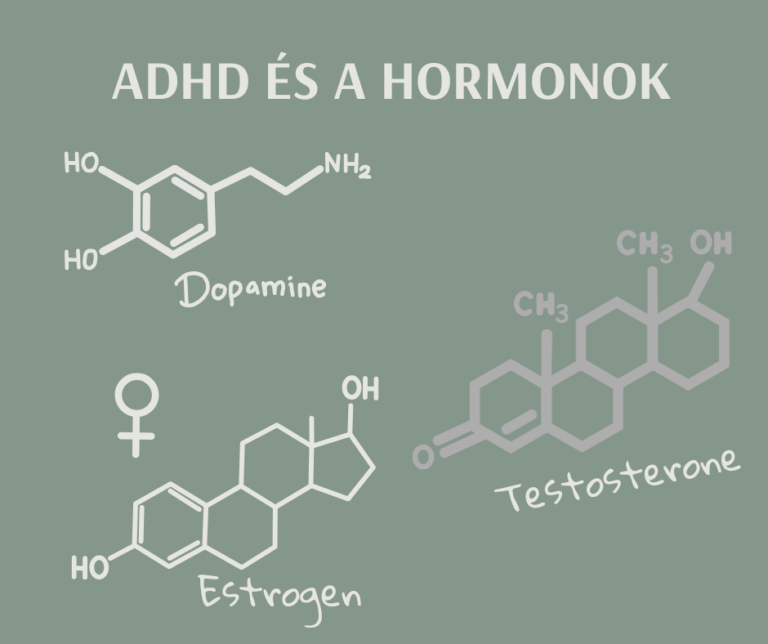 ADHD es a hormonok